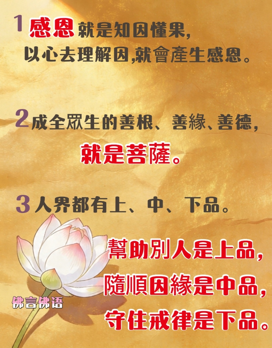 Screenshot_20260420_092009.jpg